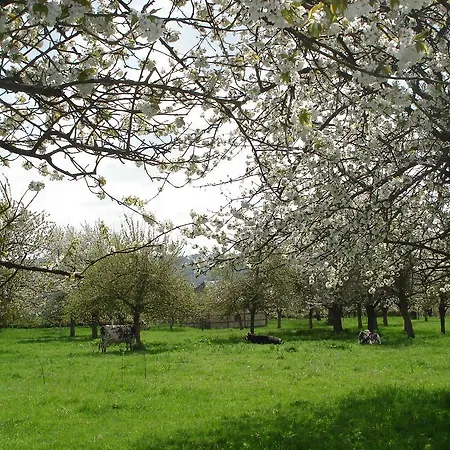 Panzió D'hotes Au Temps Des Cerises 3*